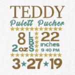 Baby Birth Subway Template Embroidery Design - 5 Sizes