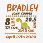Baby Birth Dinosaur Template Embroidery Design- 5 Sizes