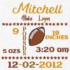 Baby Birth Football Template Embroidery Design- 5 Sizes