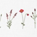 Flowers Bundle Embroidery Design - 5 Sizes