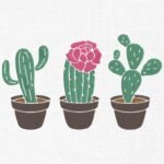 Floral Cactus Embroidery Design - 5 Sizes