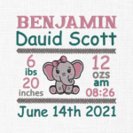 Baby Birth Elephant Template Embroidery Design- 5 Sizes