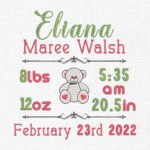 Baby Birth Announcement Teddy Template Embroidery - 4 Sizes