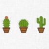 Cactus Plant Embroidery Design - 5 Sizes