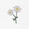Daisy Flower Embroidery Design - 5 Sizes