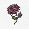 Chrysanthemum Flower Embroidery Design - 5 Sizes